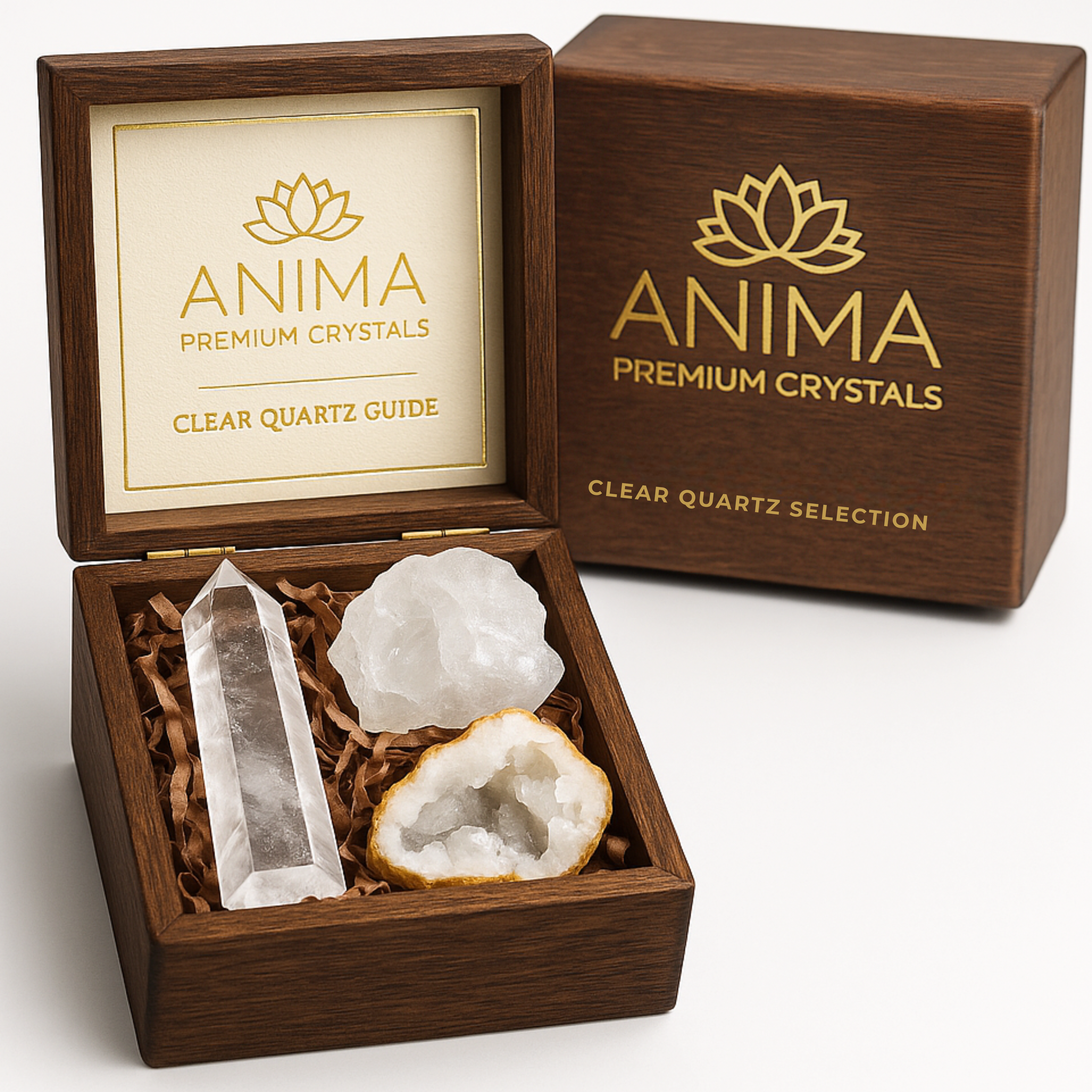 Clear Quartz Crystal Collection